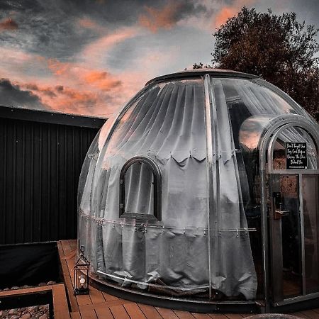 The Vino Dome By Once Upon A Dome 弗朗斯胡克 外观 照片