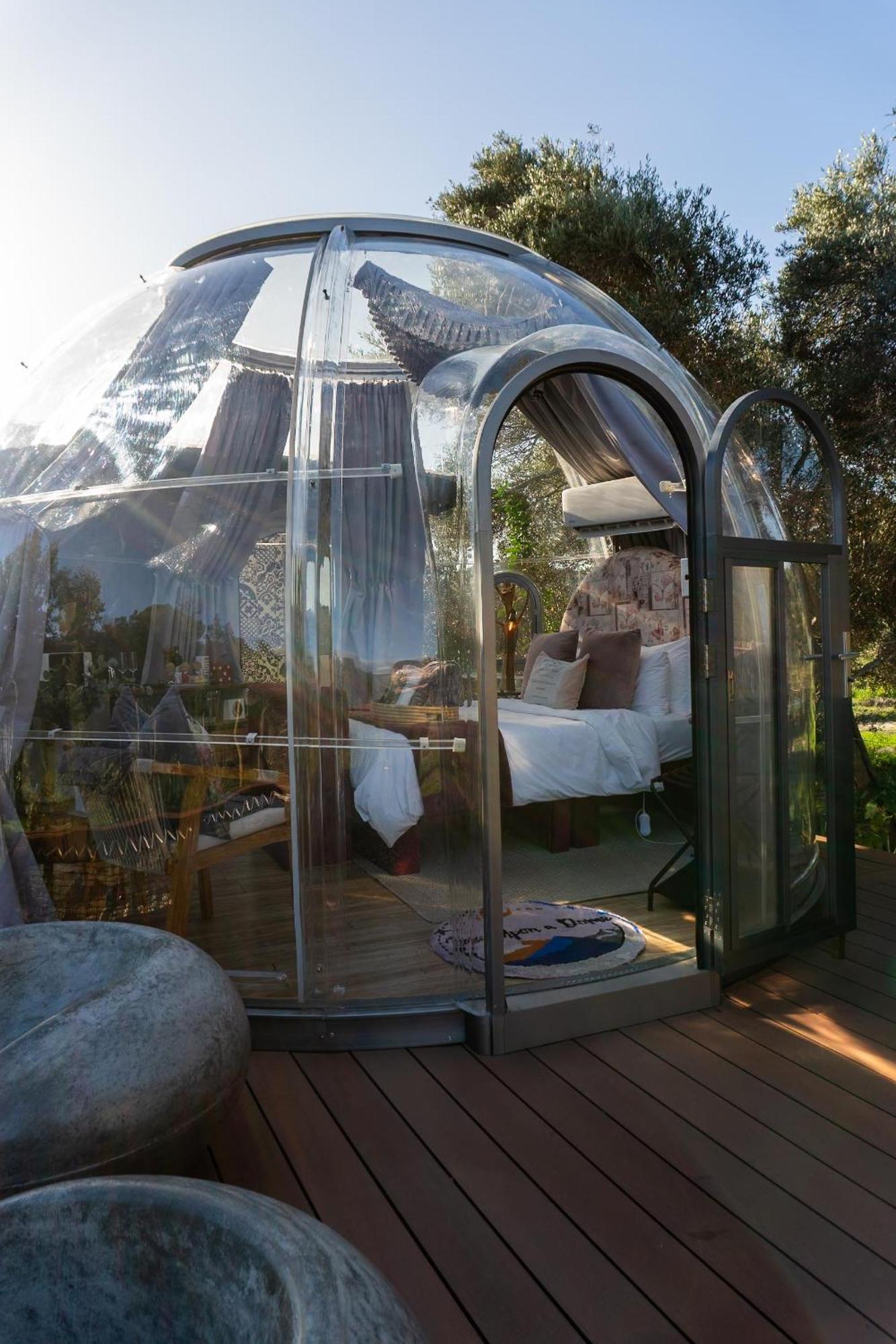 The Vino Dome By Once Upon A Dome 弗朗斯胡克 外观 照片